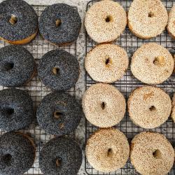 Bagels