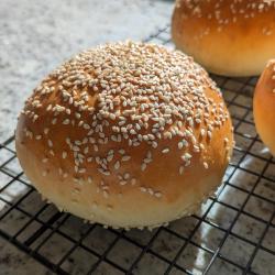 Dough - Buns and Rolls